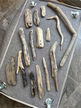 Natural Driftwood Bundle - Light Weathered Wood PNW Ocean Nautical Decor DIY NEW